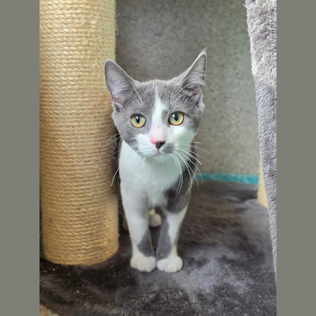 Photo of Blueberry