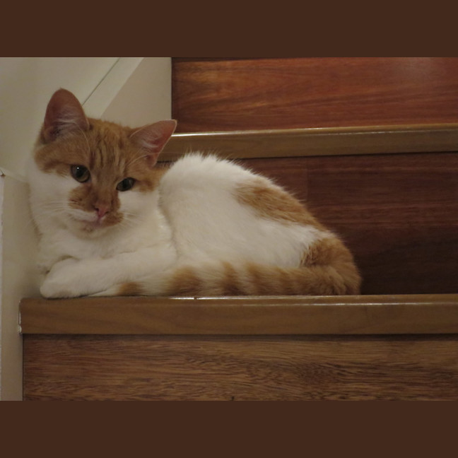 Photo of Matilda
