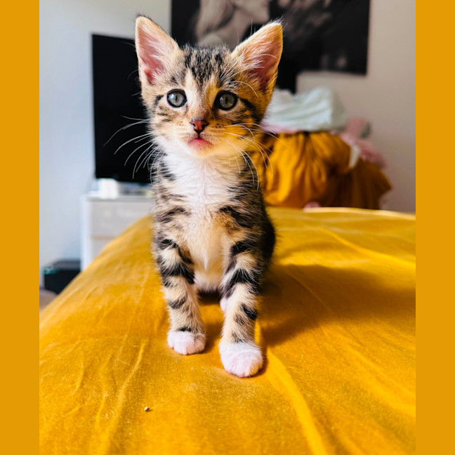 Photo of Cece 💕