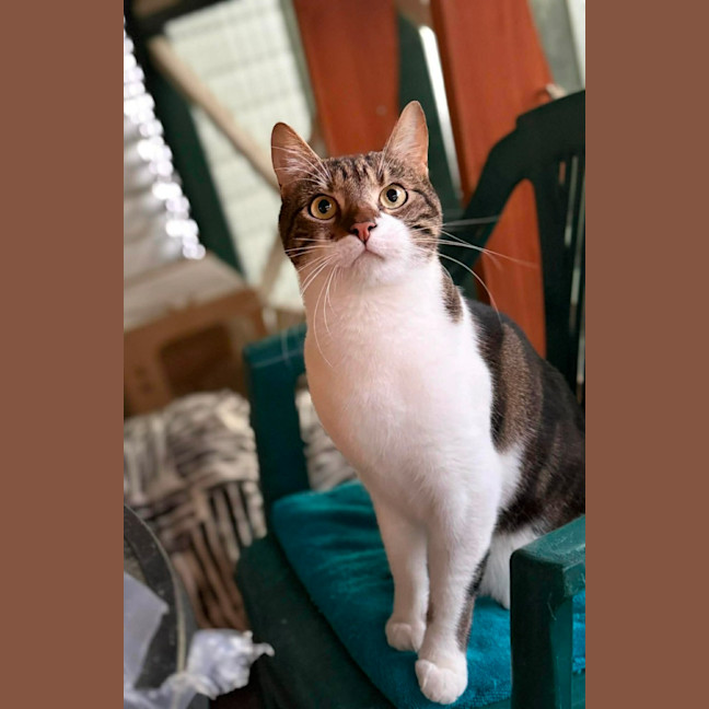 Photo of Christopher 