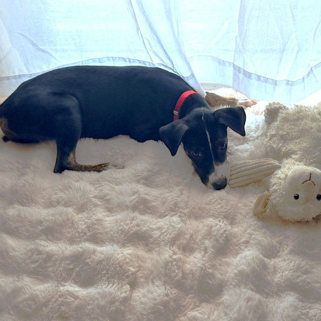 Photo of Nellie