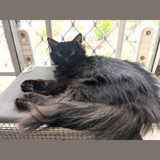 Photo of Belle