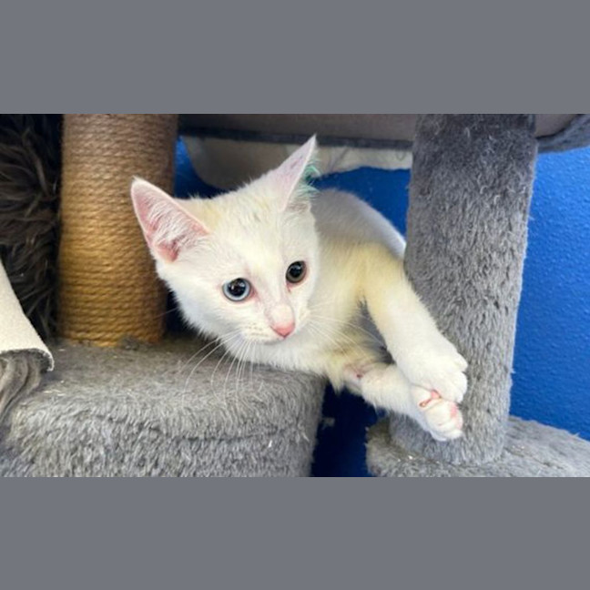 Photo of Hazel