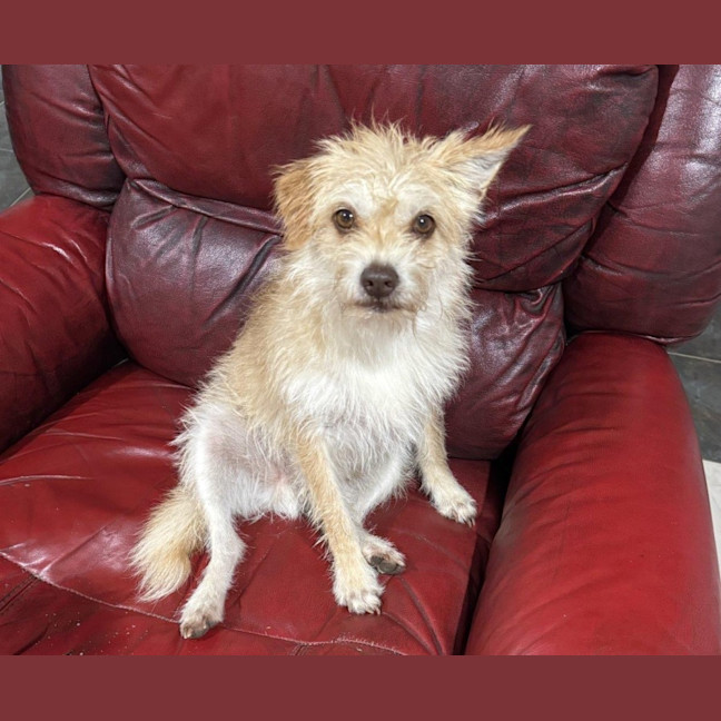 Photo of Buster Bulleau