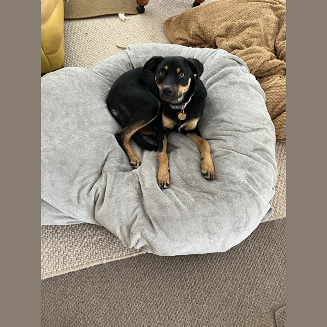Photo of Incy Wincy