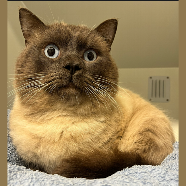 Photo of Finley