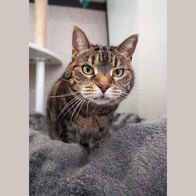Photo of Cleo