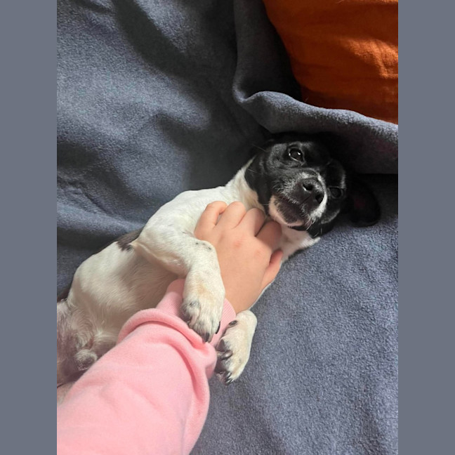 Photo of Jack