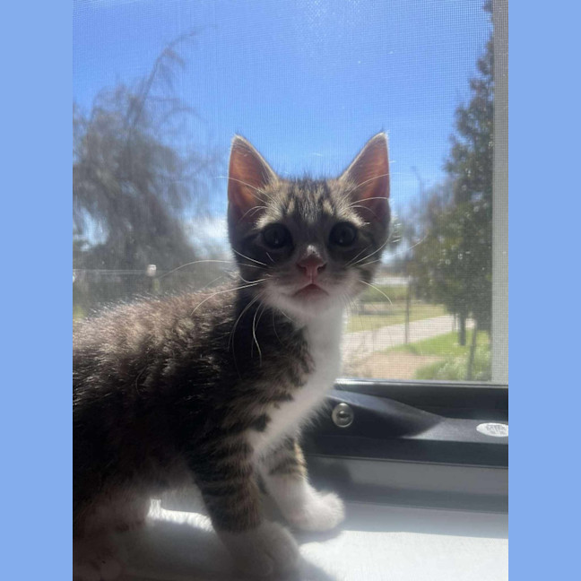 Photo of Blue
