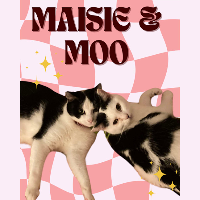 Photo of Maisie & Moo 🐄