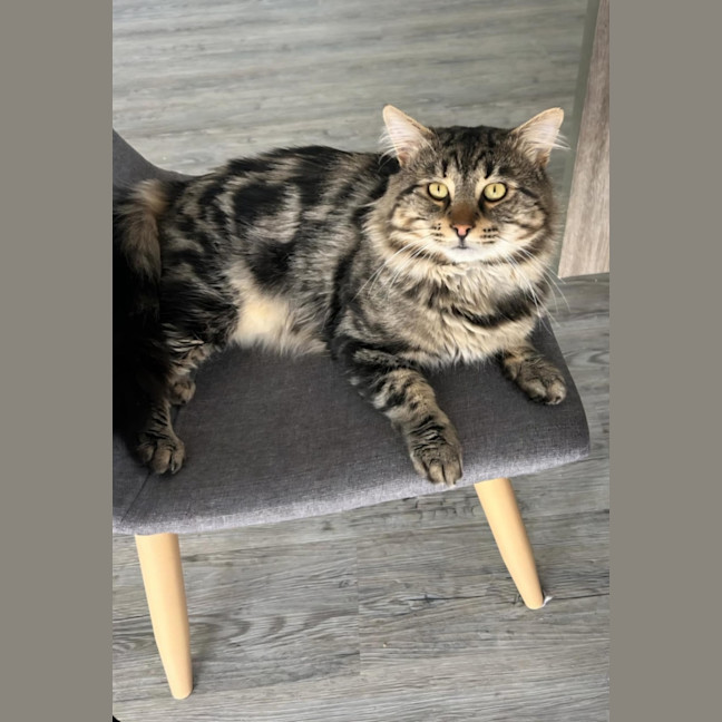 Photo of Sebastian 