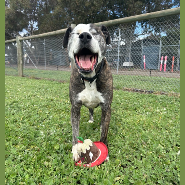 Photo of Oliver