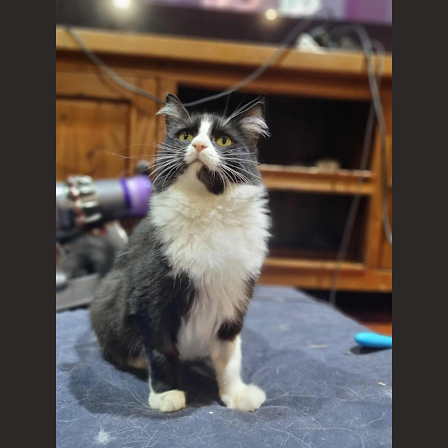 Photo of Babz