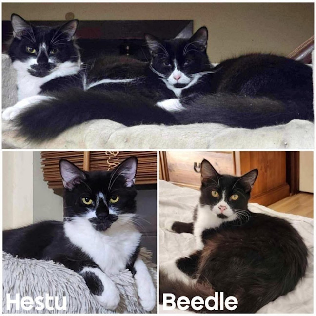 Photo of 11513 & 11514   Hestu & Beedle