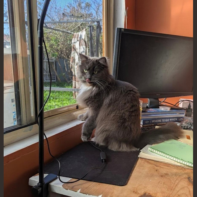 Photo of Betty 