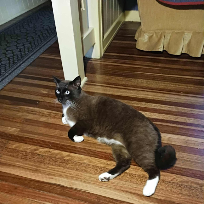 Photo of Miles❤️