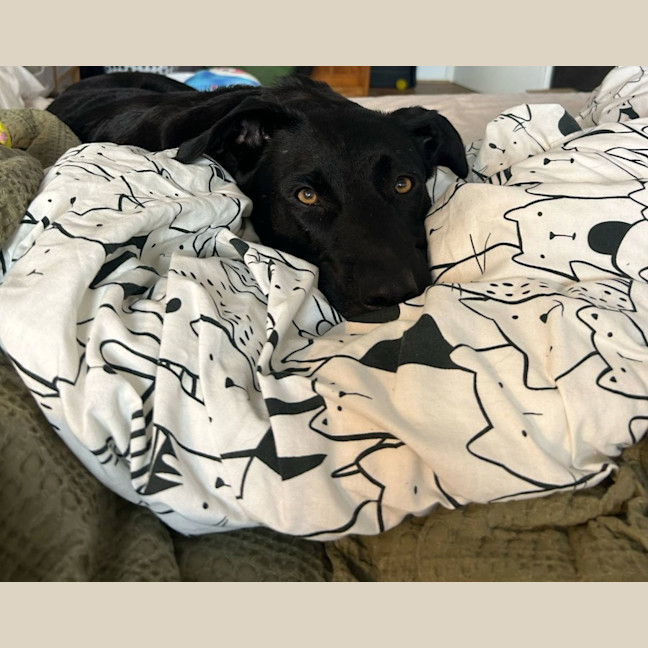 Photo of Sookie
