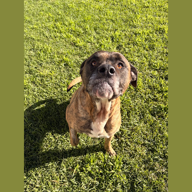 Photo of Cash