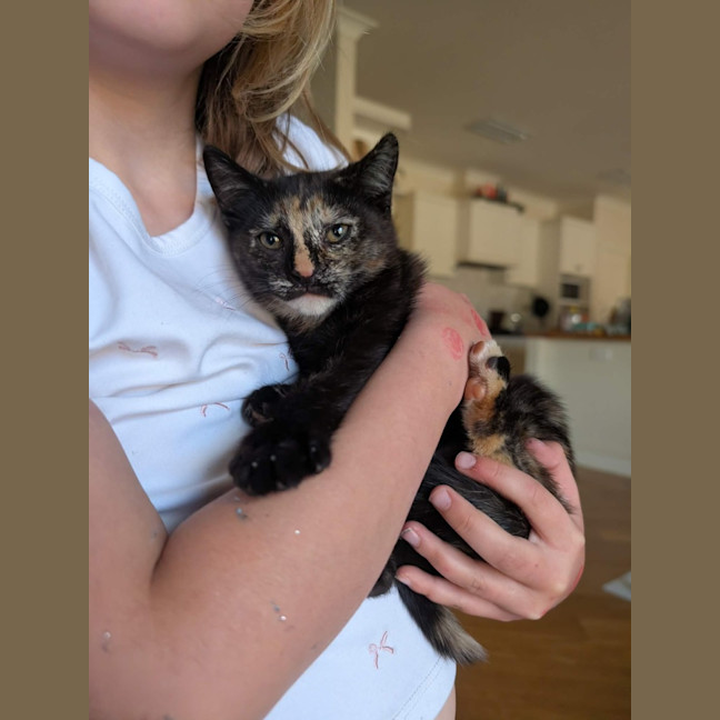 Photo of Bertie And Ocean