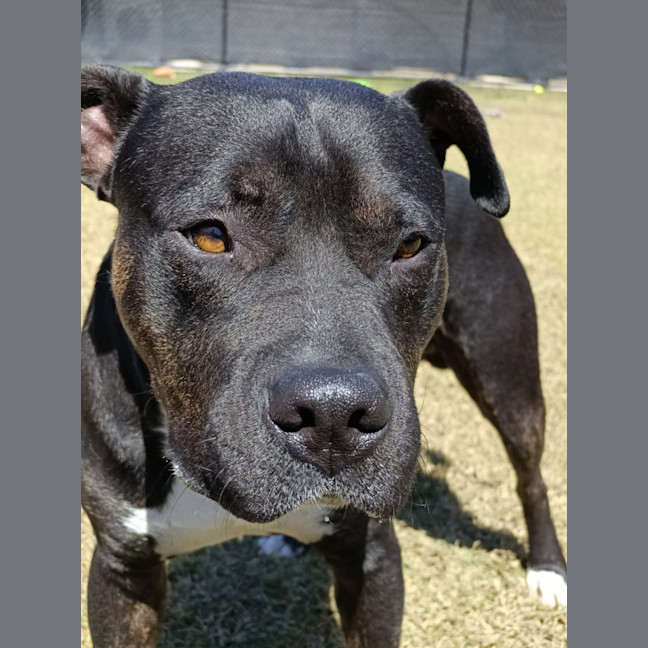 Photo of Jaxx