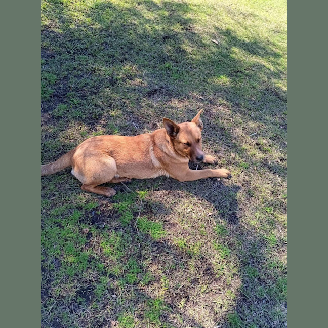 Photo of Scarlet 