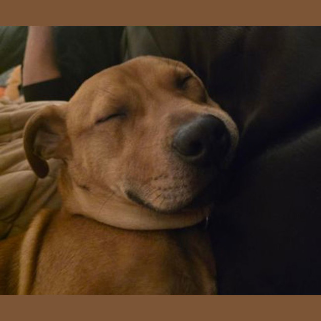 Photo of Mumble