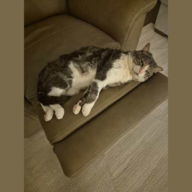 Photo of Tom