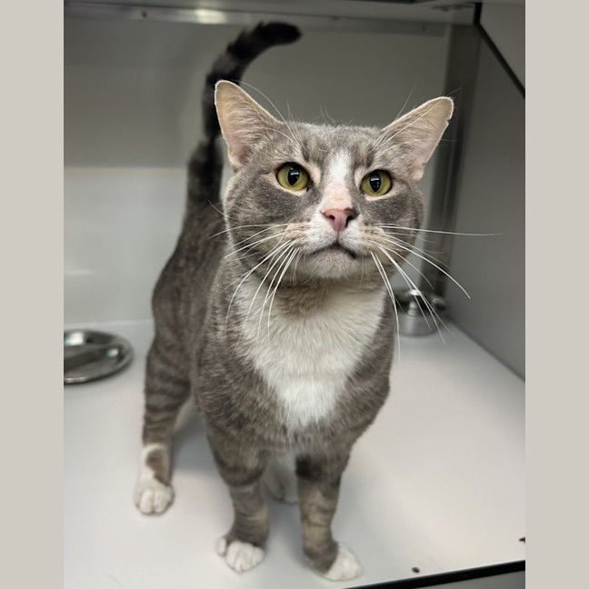 Photo of The Mayor Of Whoville