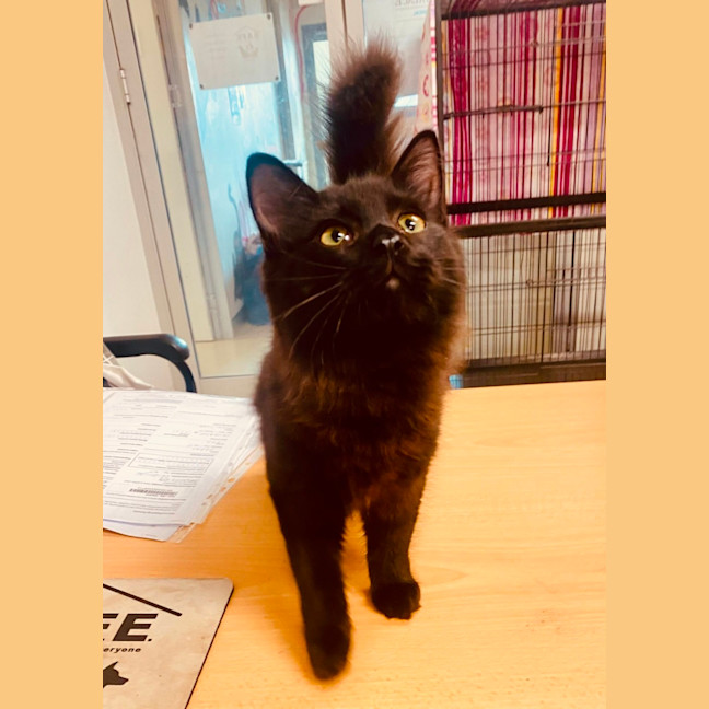 Photo of Harry