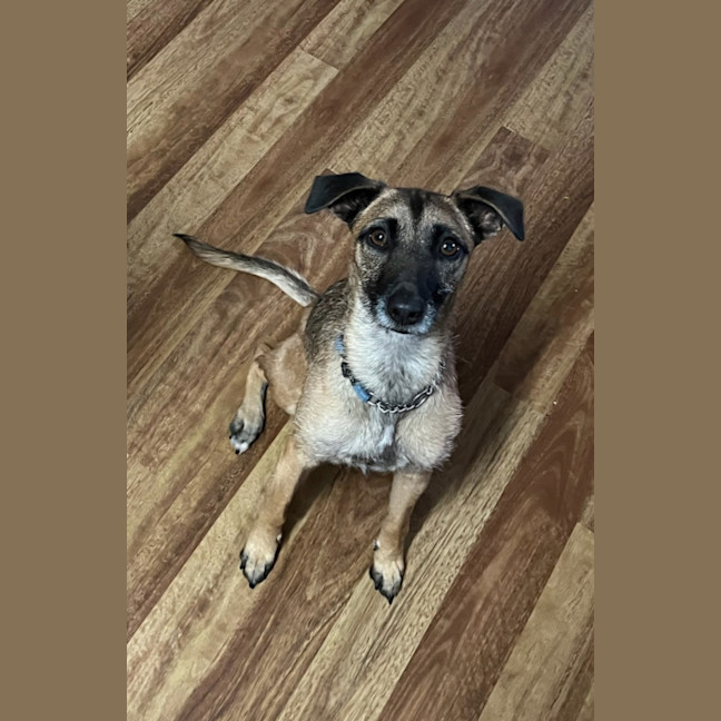 Photo of Theo