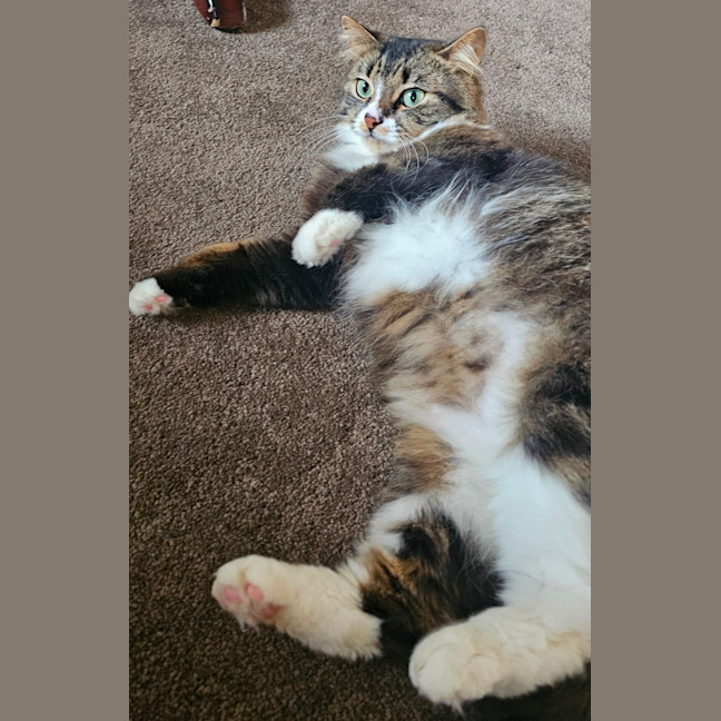 Photo of Princy