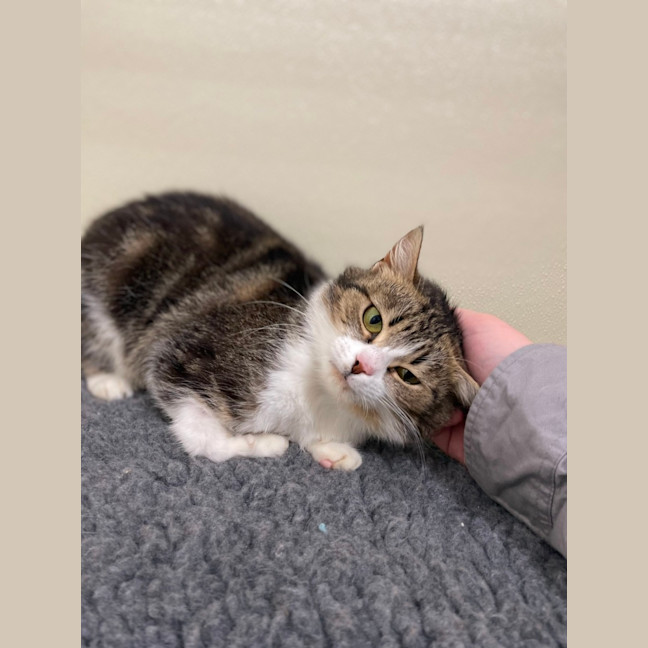 Photo of 🧸 Gemma 5509 🧸