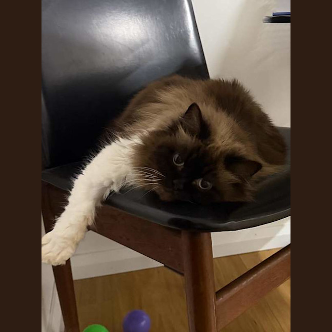 Photo of Maggie