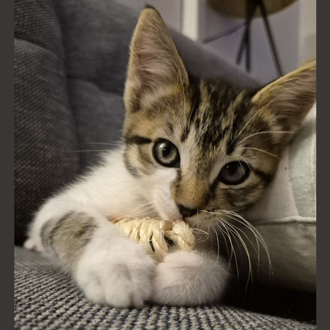 Photo of Amber & Arlee 🌷🌷