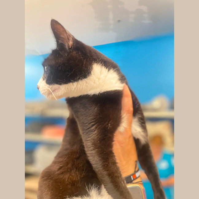 Photo of Tom