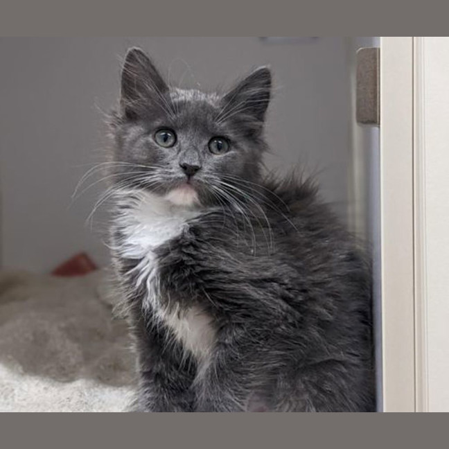 Photo of Cosmopolitan