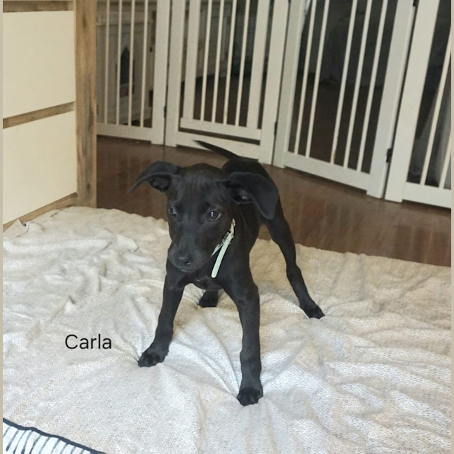 Photo of Carla