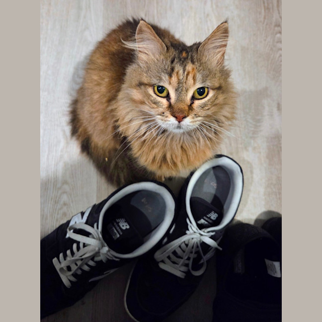 Photo of Carlita