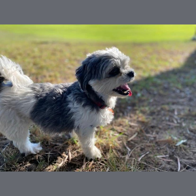 Photo of Belle And Hugo 