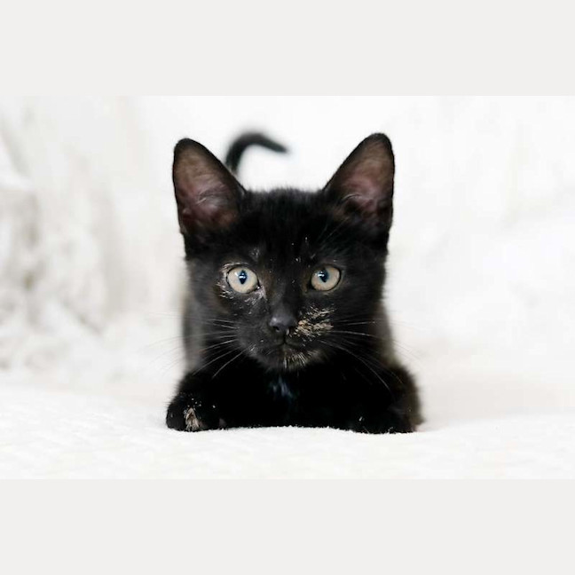 Photo of Minnie