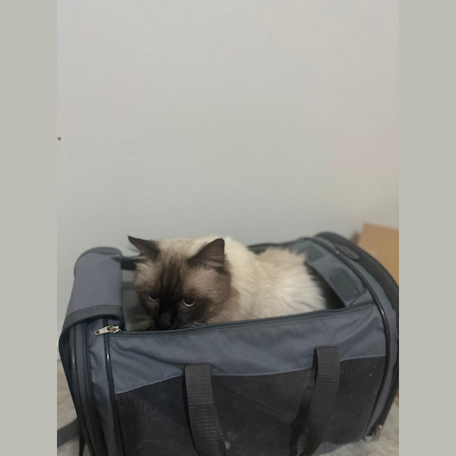 Photo of Cartman
