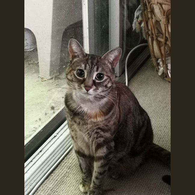 Photo of Milicent (Mili)