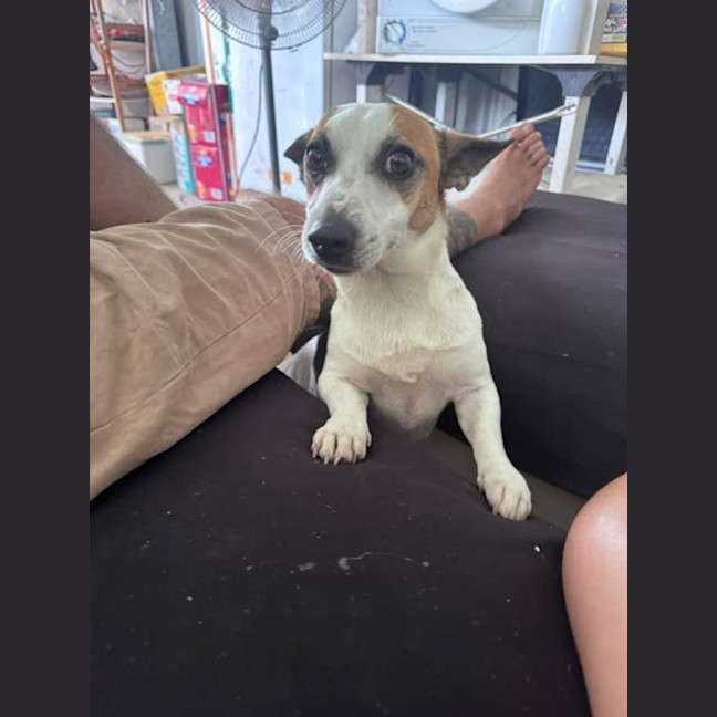 Photo of Gus