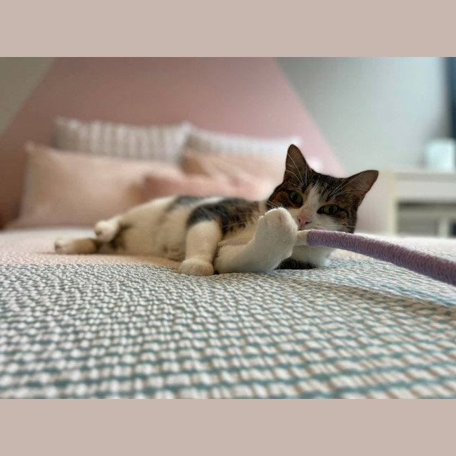 Photo of Mimi   In Foster Care In Macleod