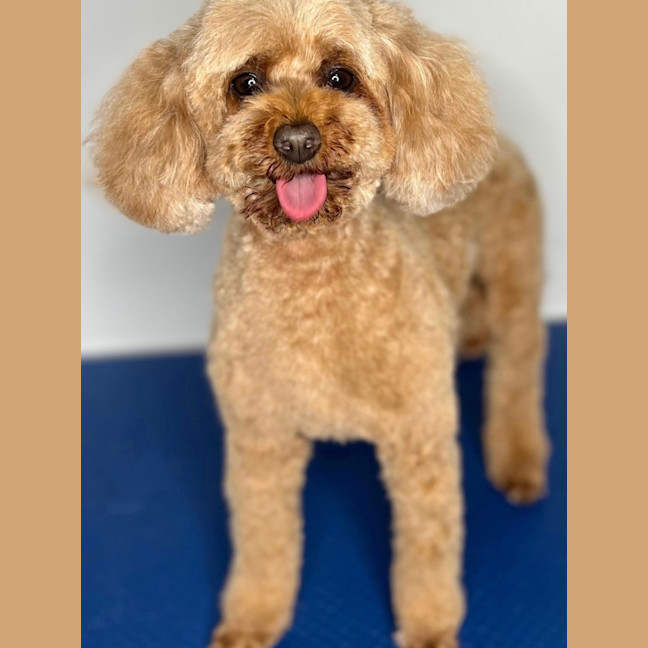 Photo of Mitzi