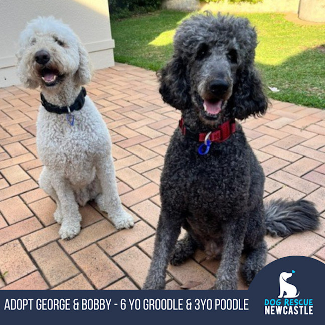 Photo of George And Bobby