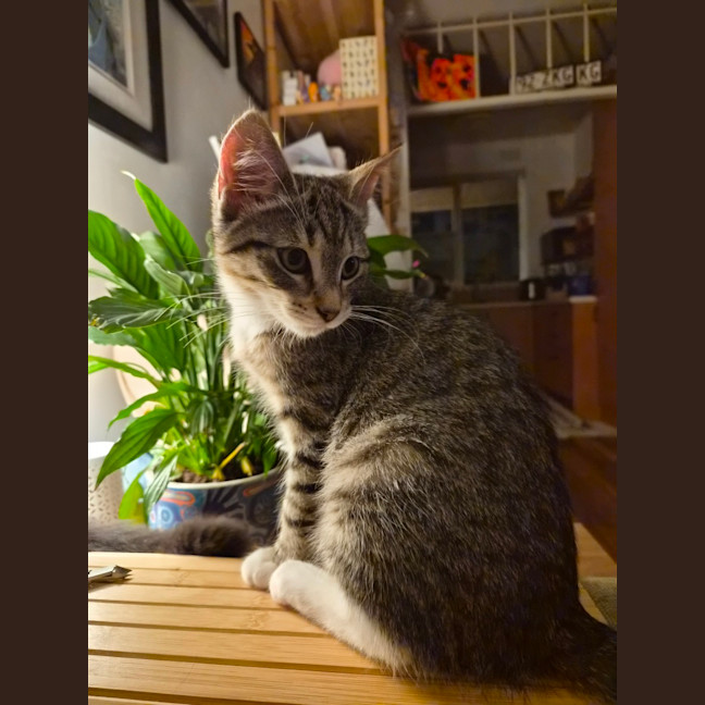 Photo of Francesca