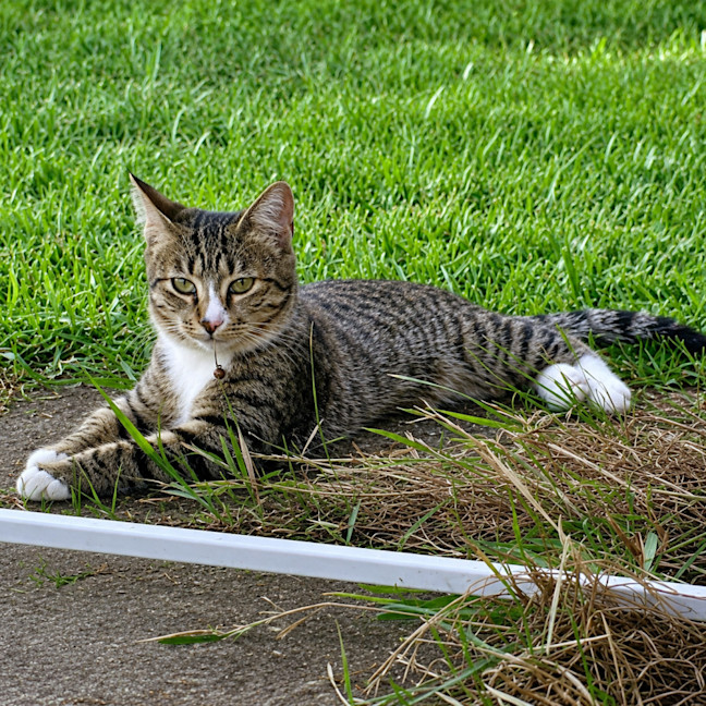 Photo of Quinn