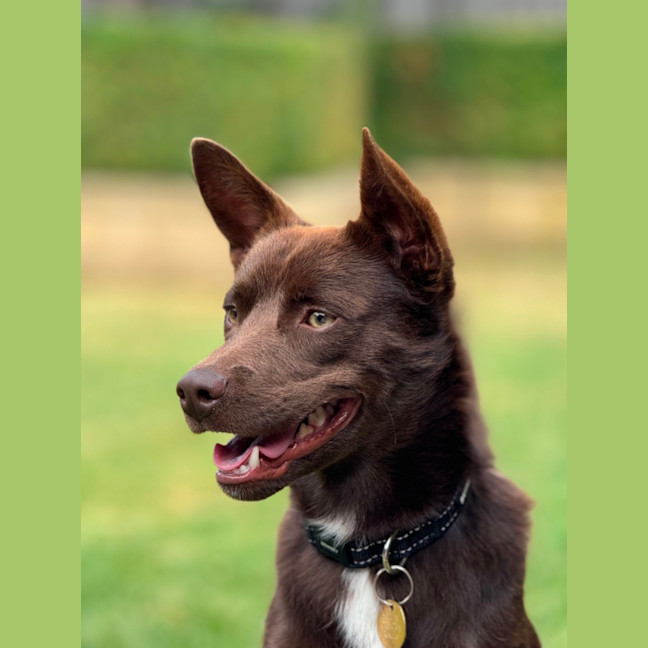 Photo of Max Brenner 🍫 