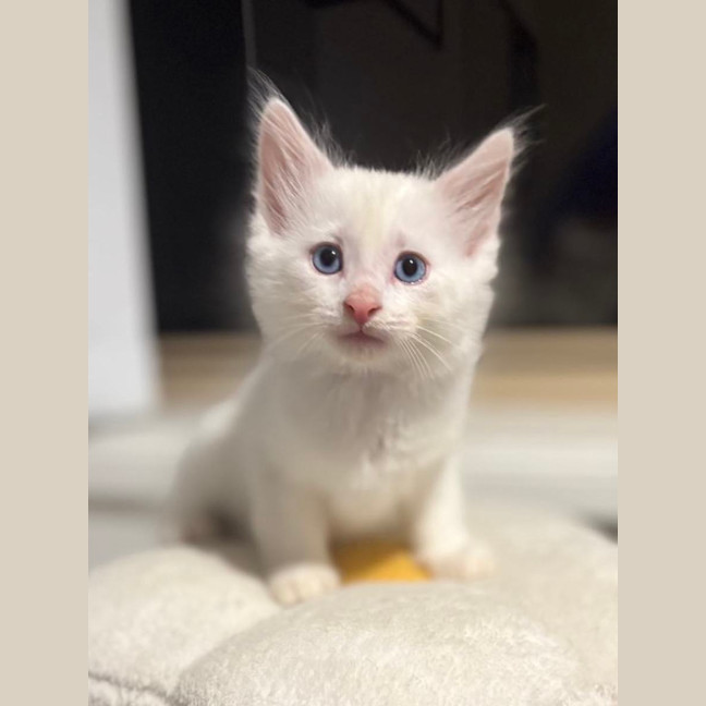 Photo of ❄️snowy ❄️